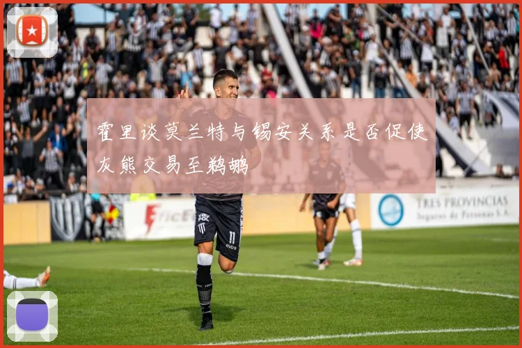 霍里谈莫兰特与锡安关系是否促使灰熊交易至鹈鹕