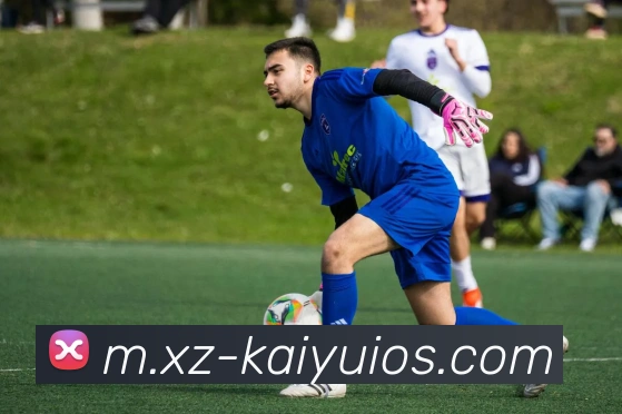 开元体育APP 高清赛事图